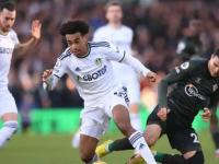 开云官方app入口-利兹联前锋近期火力全开，为球队贡献不小