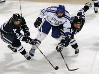 开云体育在线-战术的牢笼与巨星的闪耀，广东压制浙江，哈利伯顿欧冠接管比赛