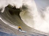 开云体育平台APP-新凯撒的加冕，当哈弗茨在2026世界杯以罗马之心征服玻利维亚