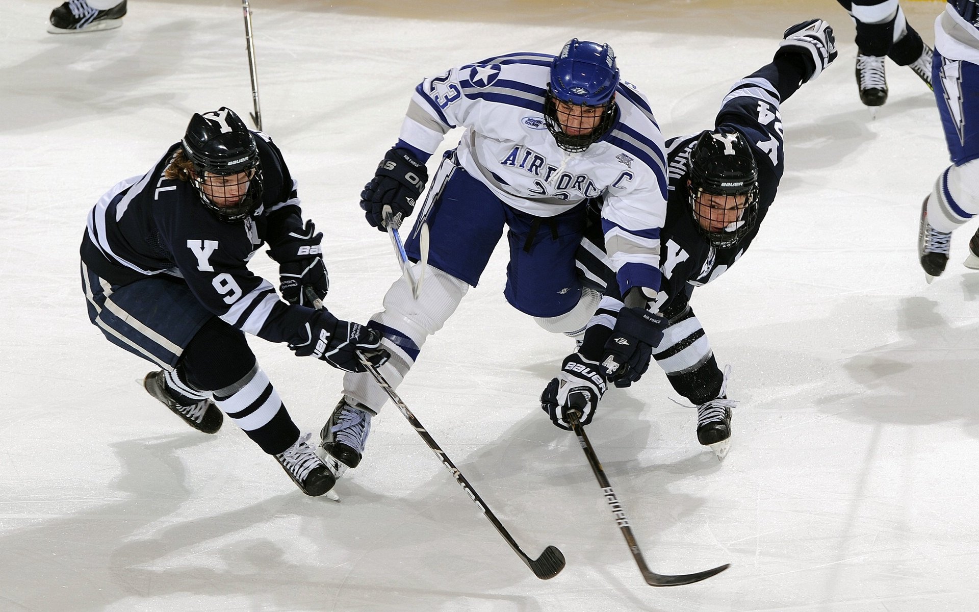 舞台越大,福克斯越强,灰熊对阵森林狼的季后赛启示