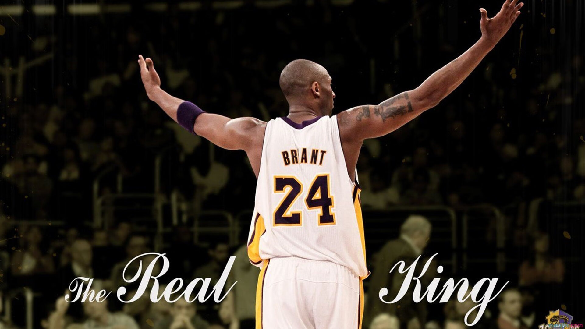 英格拉姆点燃赛场,马刺踏平太阳,新王当立,秩序重写