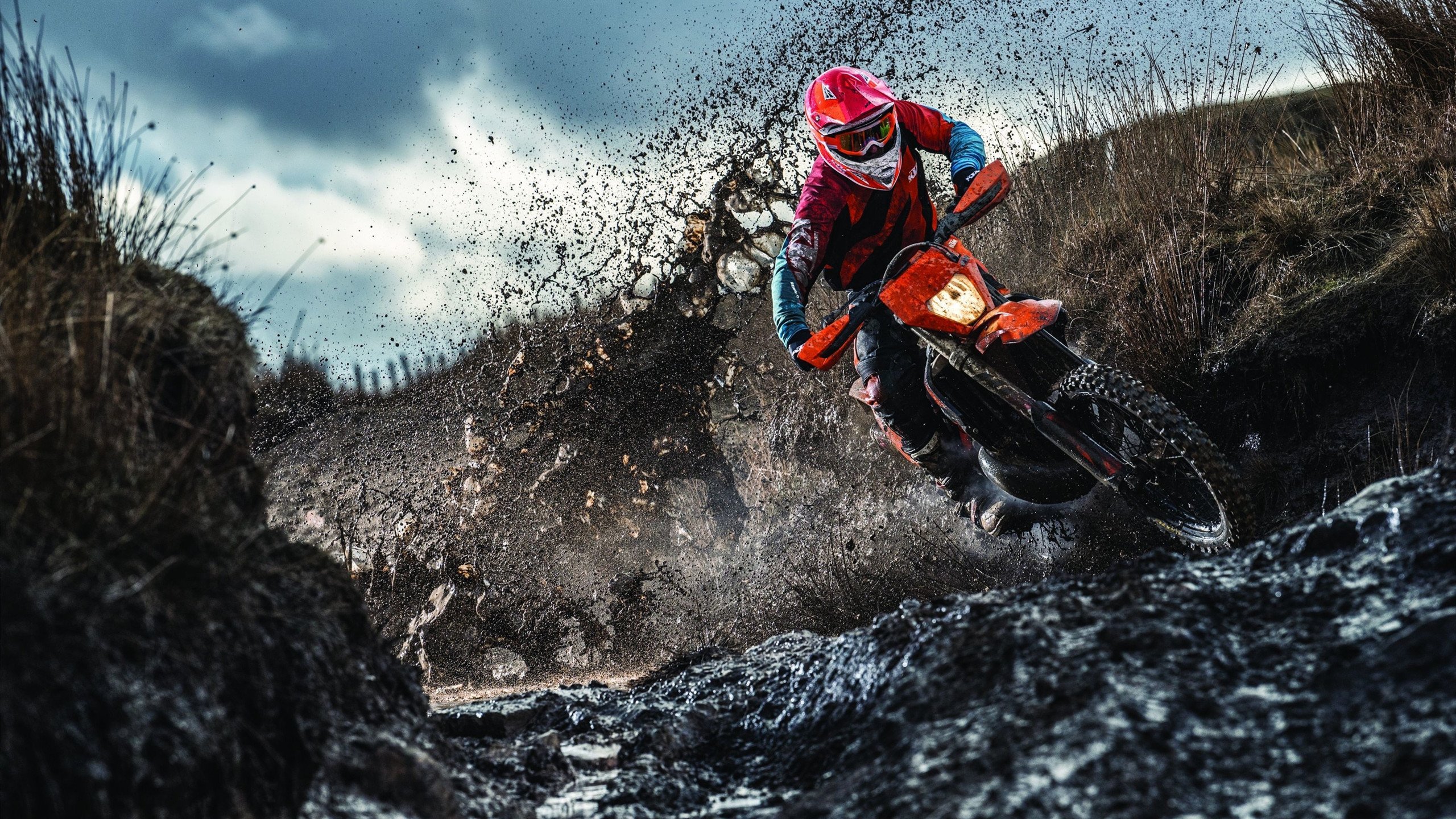 2026世界杯之夜，当詹姆斯在进攻端成为无解方程式